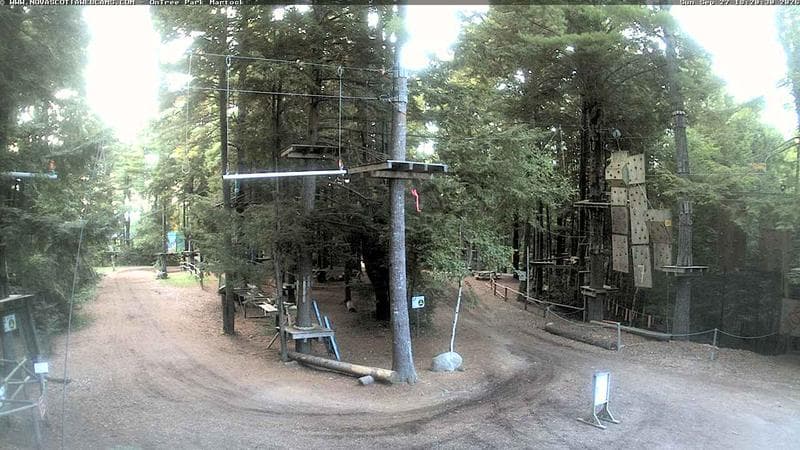 Ontree Park