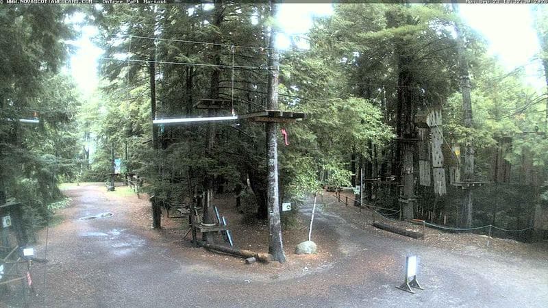 Ontree Park