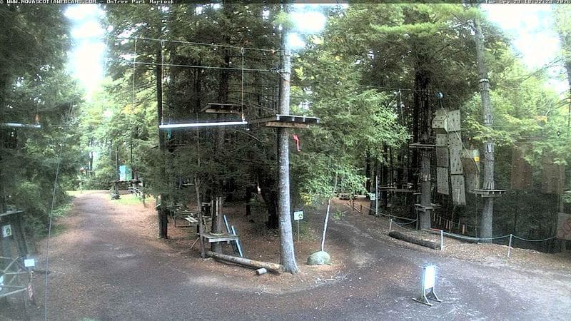 Ontree Park