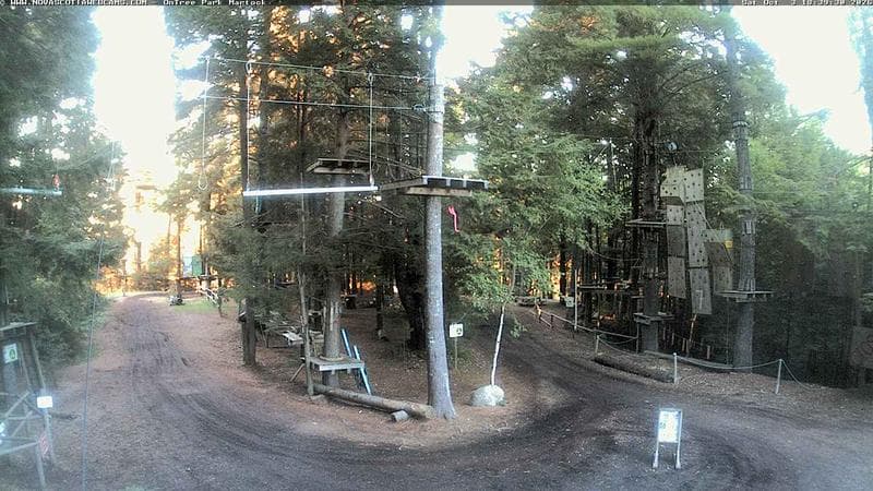 Ontree Park