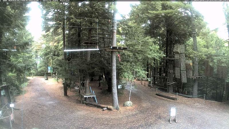 Ontree Park