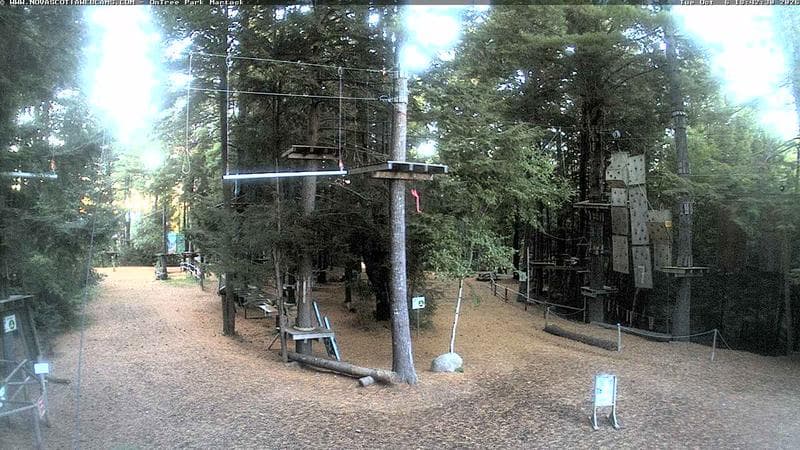 Ontree Park