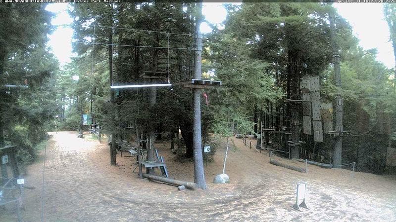Ontree Park