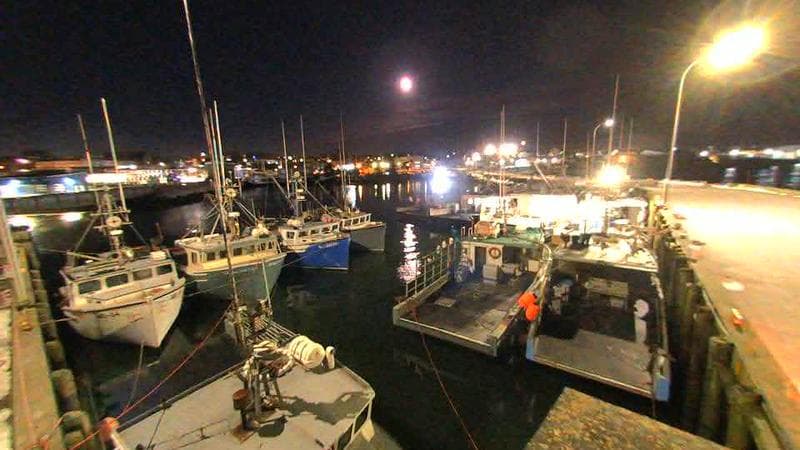 Lobster Rock Wharf East