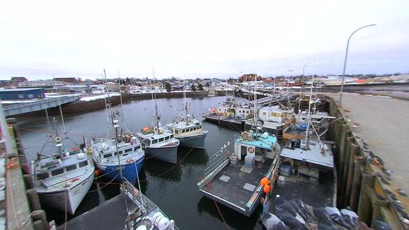 Lobster Rock Wharf East
