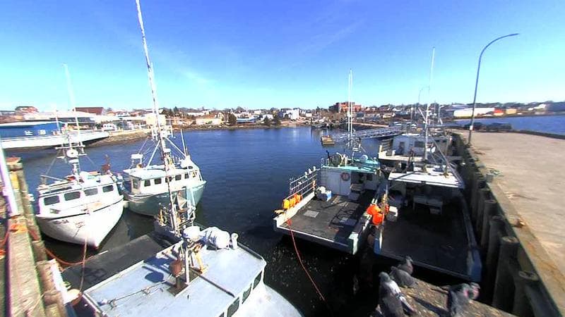 Lobster Rock Wharf East