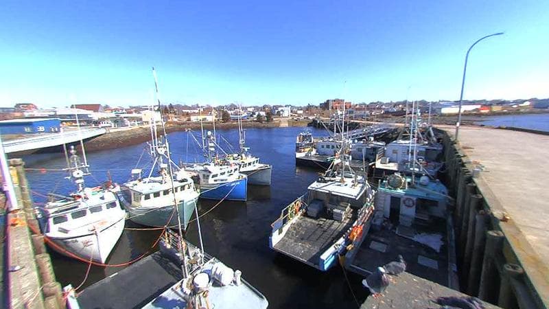Lobster Rock Wharf East
