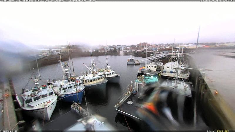 Lobster Rock Wharf East