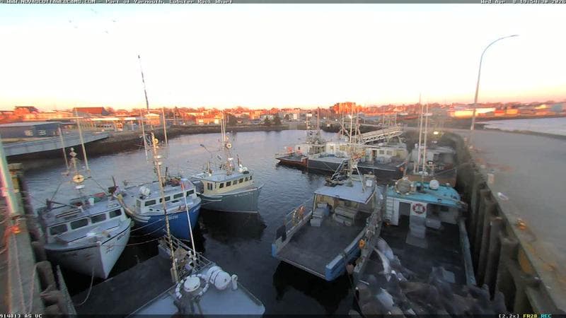 Lobster Rock Wharf East