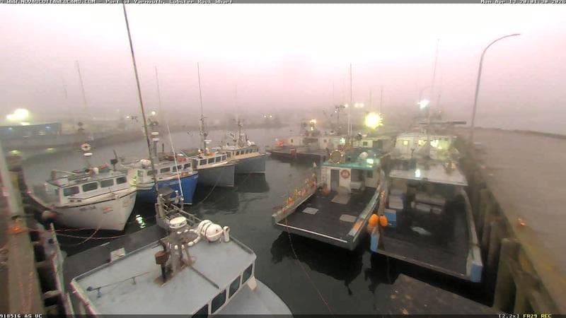 Lobster Rock Wharf East