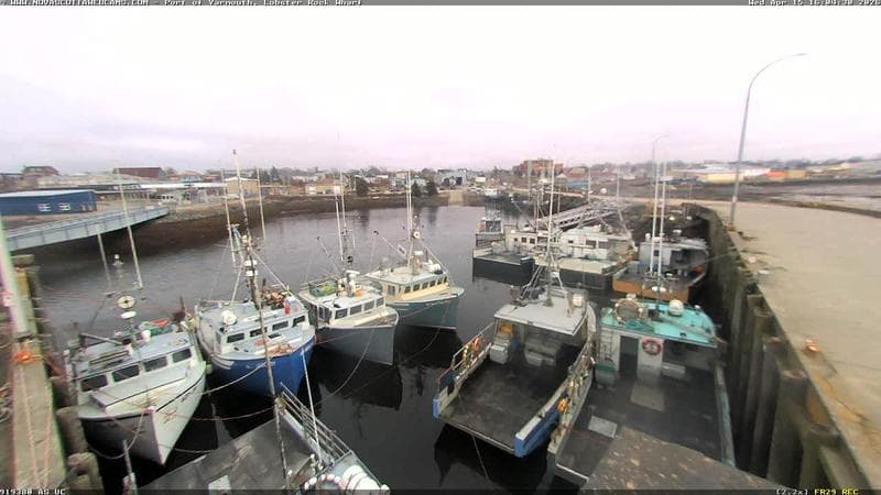 Lobster Rock Wharf East