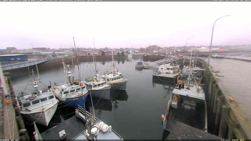 Lobster Rock Wharf East