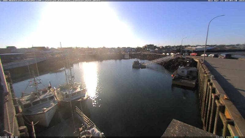 Lobster Rock Wharf East
