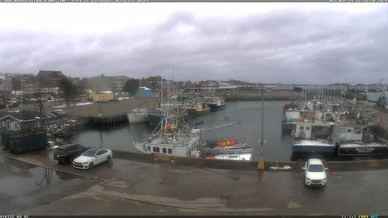 Marginal Wharf South