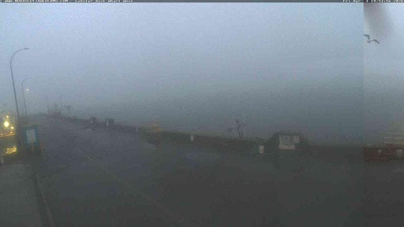 Lobster Rock Wharf West