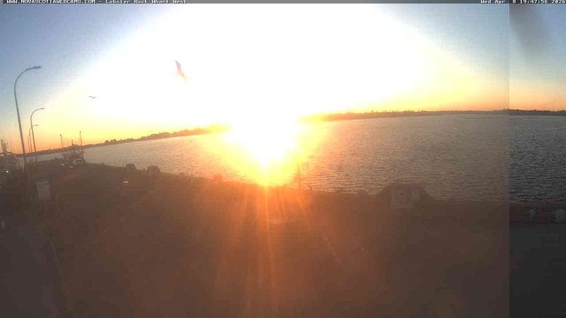 Lobster Rock Wharf West