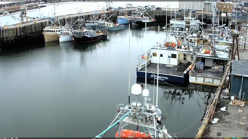 Marginal Wharf North