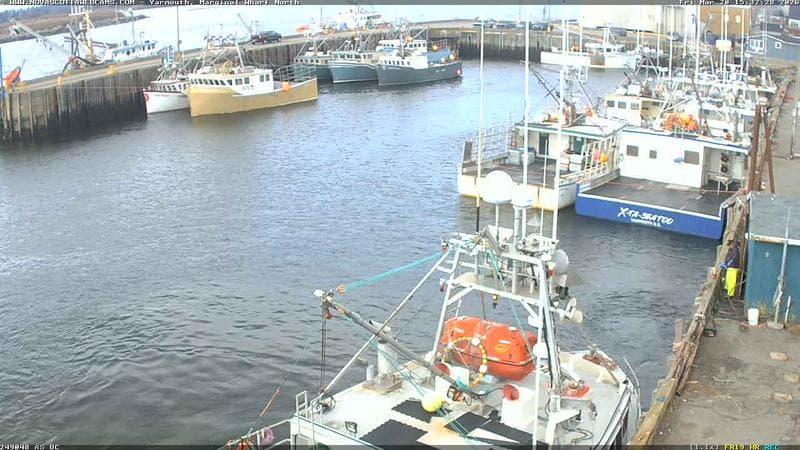 Marginal Wharf North