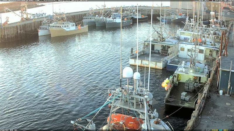 Marginal Wharf North