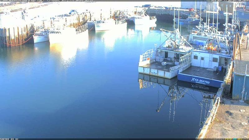 Marginal Wharf North