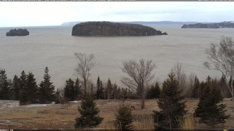 Rockcliffe by the Sea