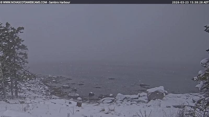 Sambro Harbour