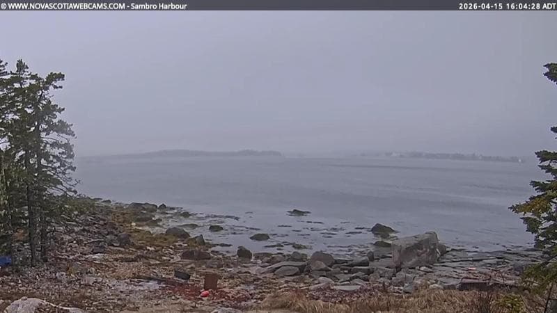 Sambro Harbour