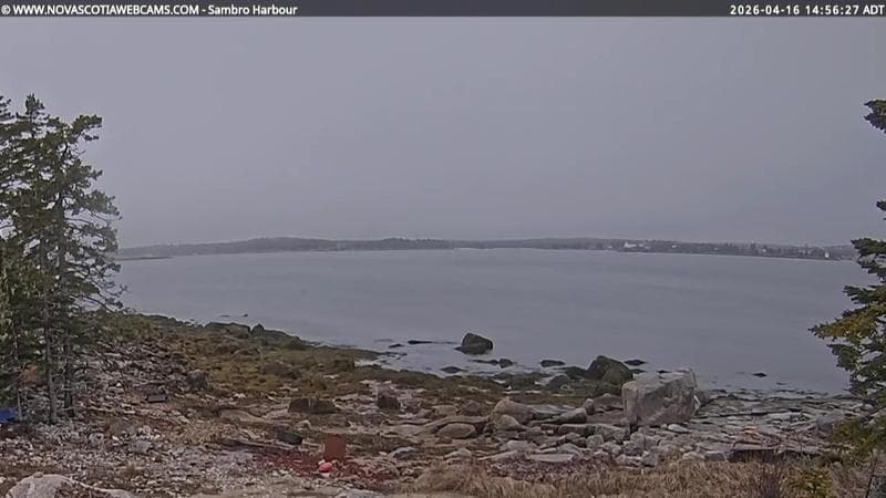 Sambro Harbour