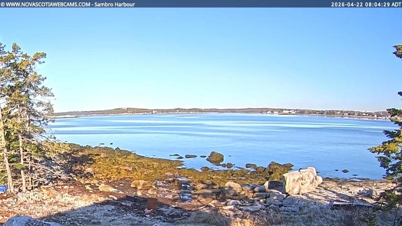 Sambro Harbour