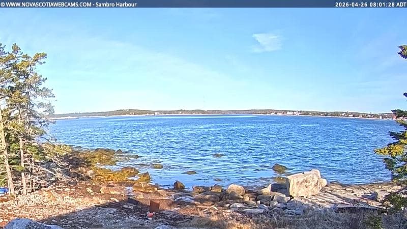 Sambro Harbour