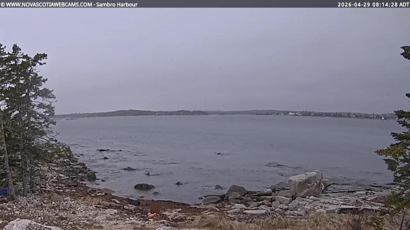 Sambro Harbour