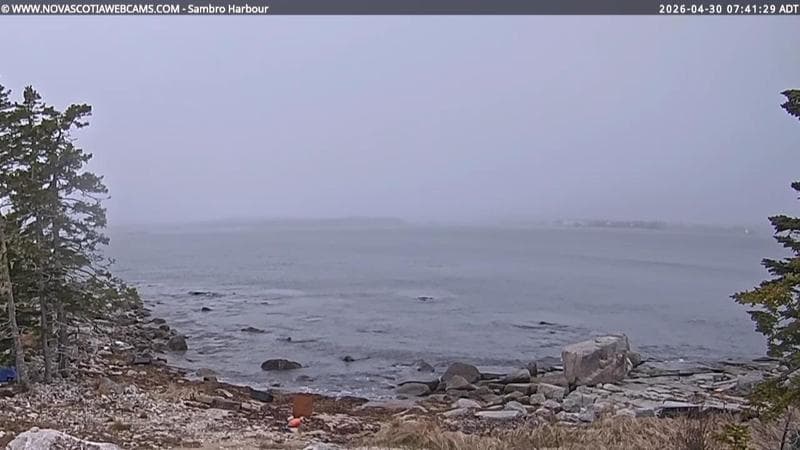 Sambro Harbour
