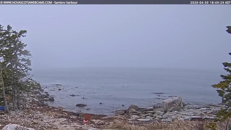 Sambro Harbour