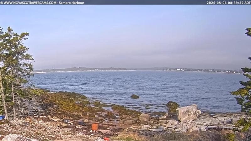 Sambro Harbour