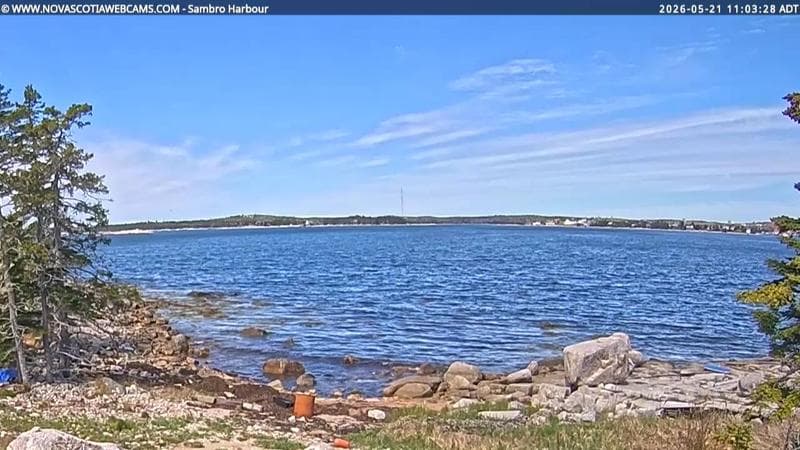 Sambro Harbour