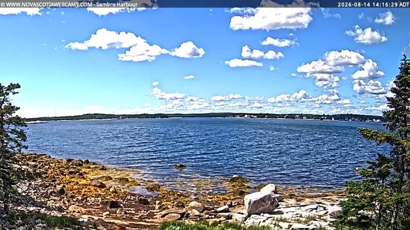 Sambro Harbour