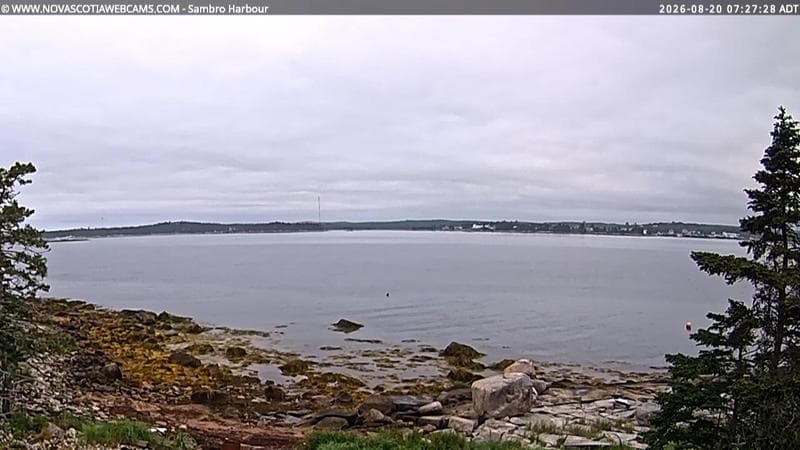 Sambro Harbour
