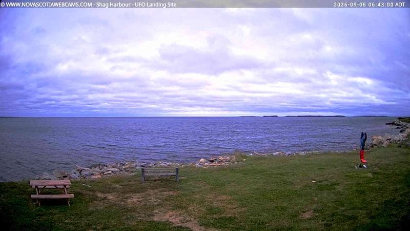 Shag Harbour