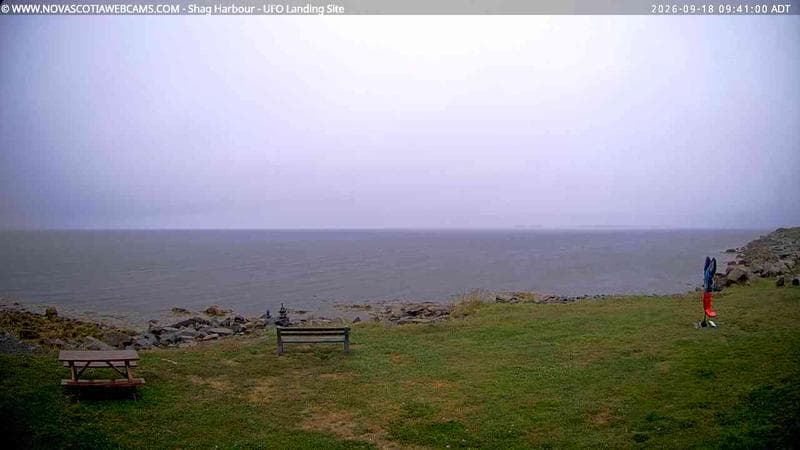 Shag Harbour
