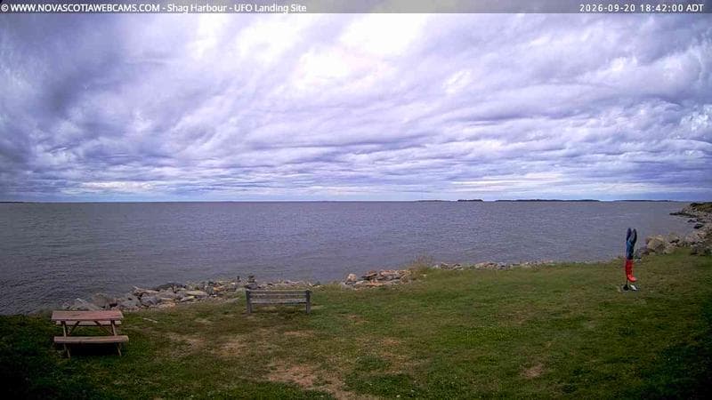 Shag Harbour