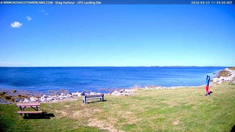 Shag Harbour