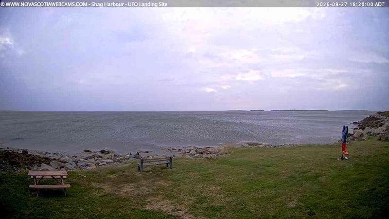 Shag Harbour