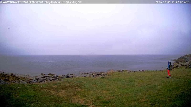 Shag Harbour