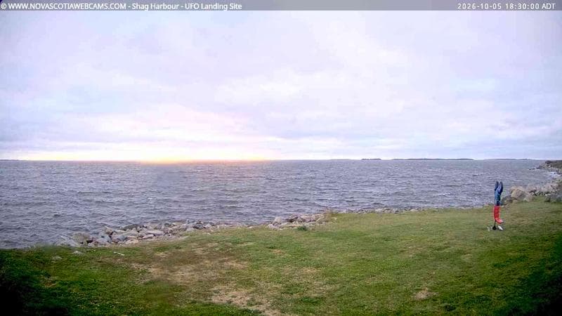 Shag Harbour