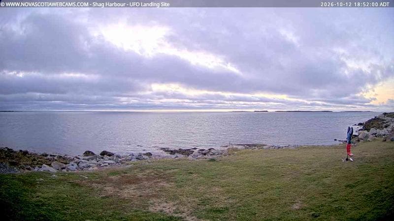 Shag Harbour