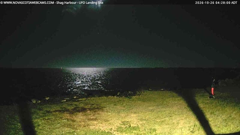 Shag Harbour