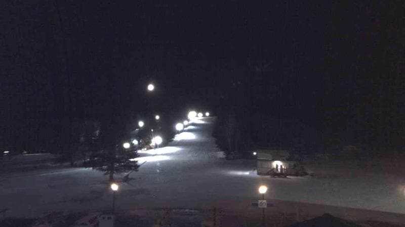 Ski Martock