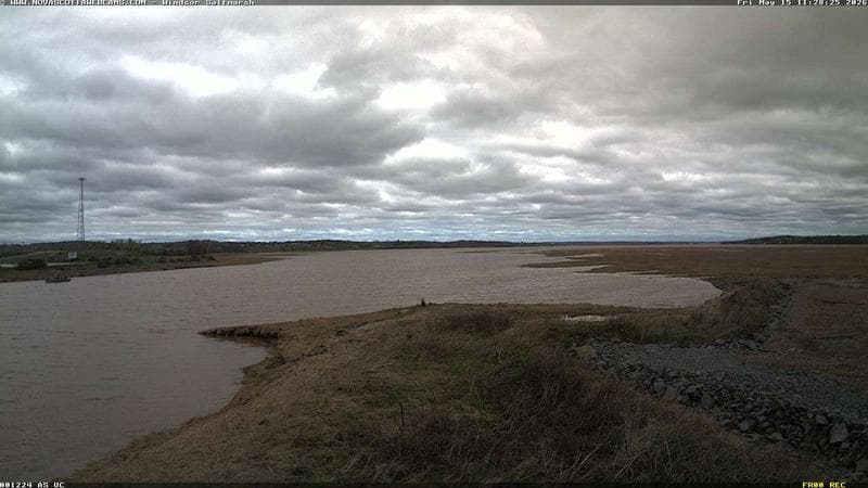 Windsor Salt Marsh