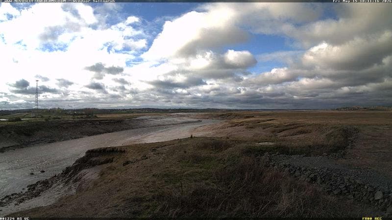 Windsor Salt Marsh