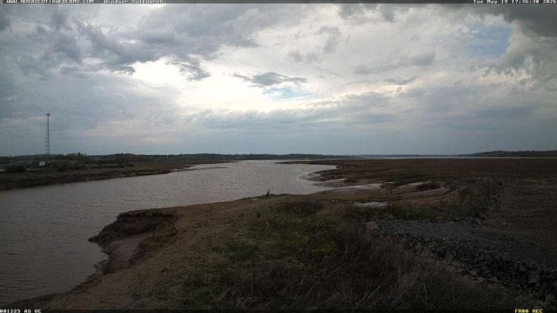 Windsor Salt Marsh
